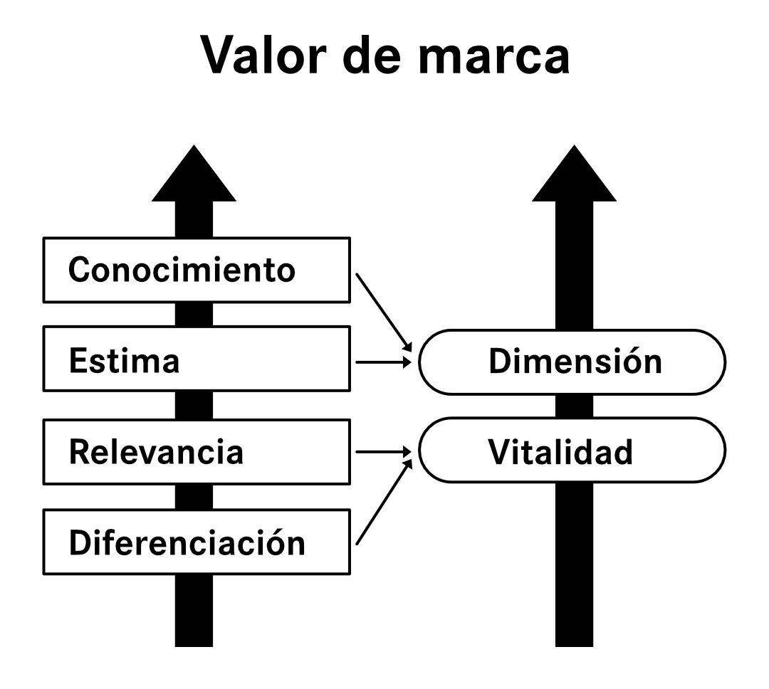 Brand Equity Measurement con el Brand Asset Valuator